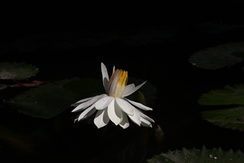 永利(中国)集团官方网站